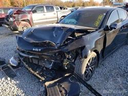 کیا ستینگەر